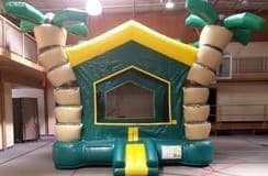 Palm Tree Moonwalk (E-13)