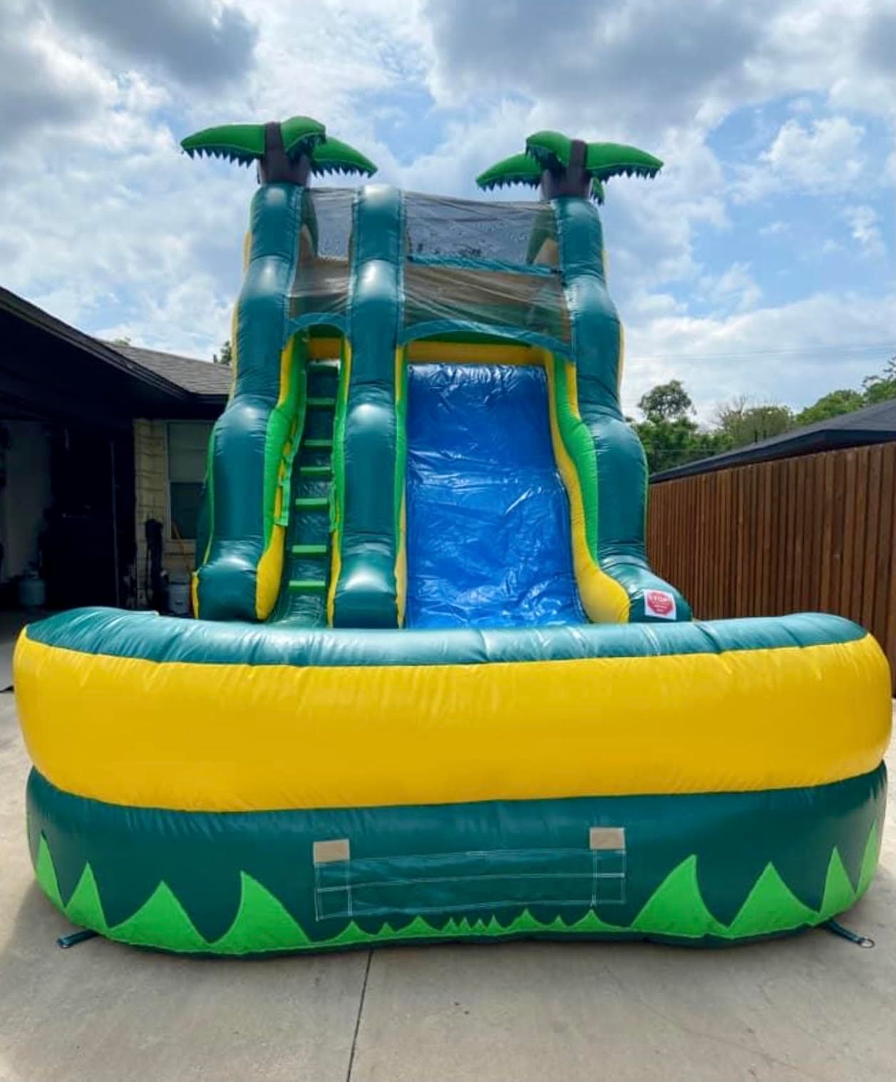 Tropical Palm Tree Water Slide