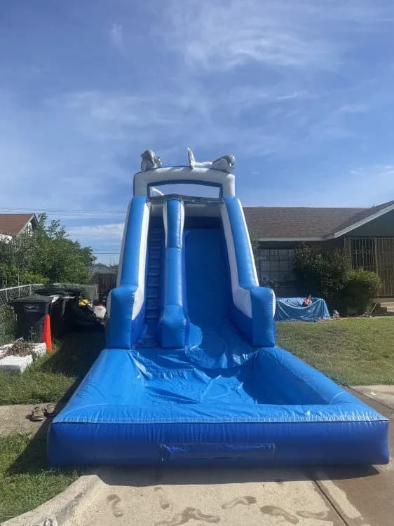 Dolphin Slide 16ft