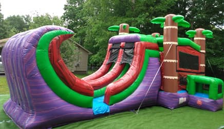 Jungle Theme Dual Lane Bounce and Slide Combo