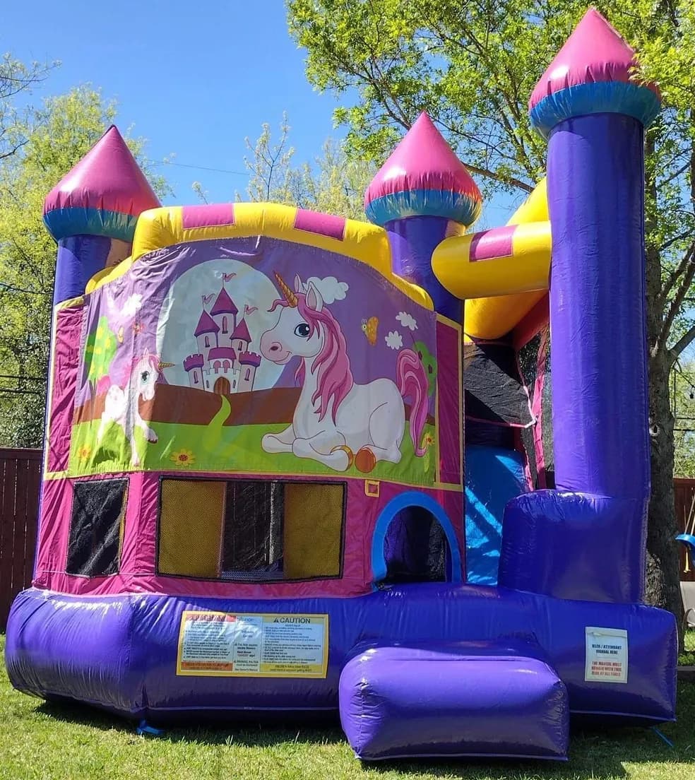 Purple Yellow Combo Bouncer - Custom Art Banner