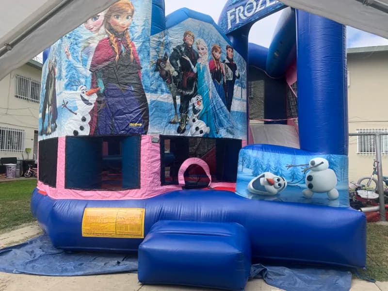 Frozen 5-in-1 Combo 17x18