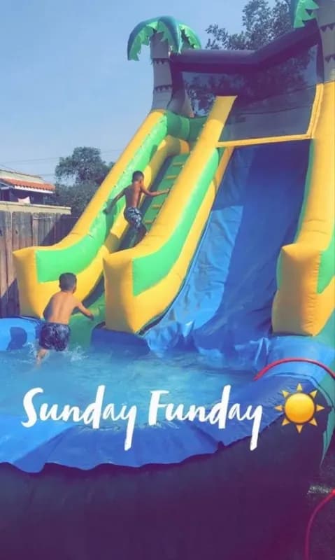 Palm Tree Waterslide 13x30