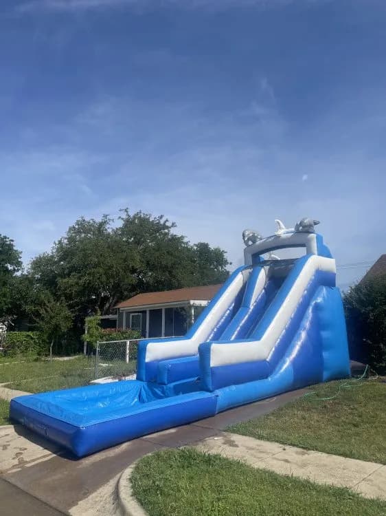 Dolphin Slide 16ft