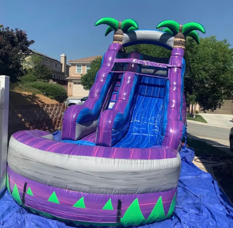 Purple Crush Waterslide 13x30