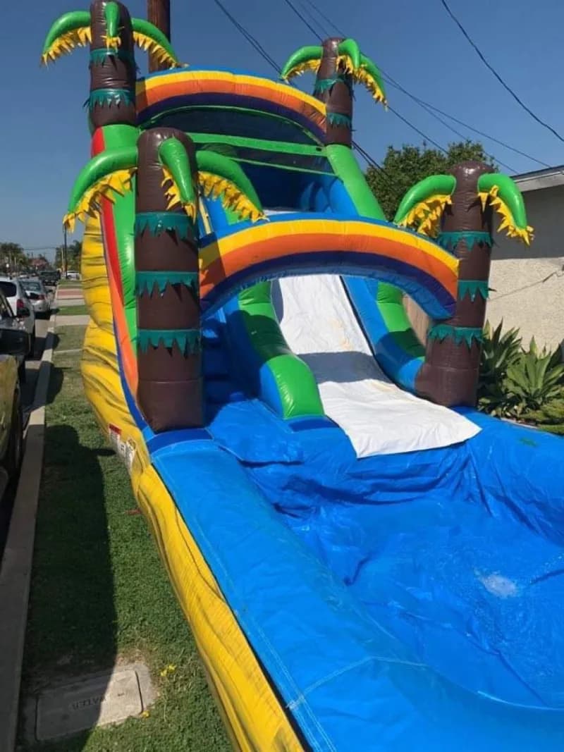 4 Palm Tree Waterslide 12x23