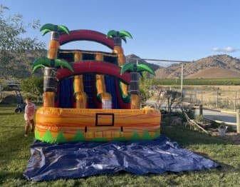 Fiesta 16ft Waterslide