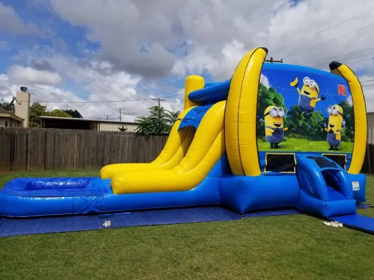 211 Despicable Me Combo Wet or Dry