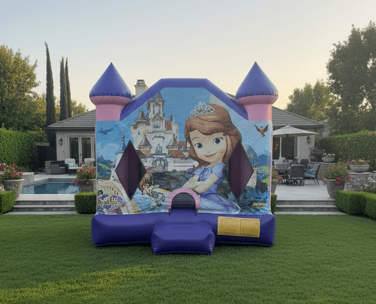 Sofia The First Jumper 13x13