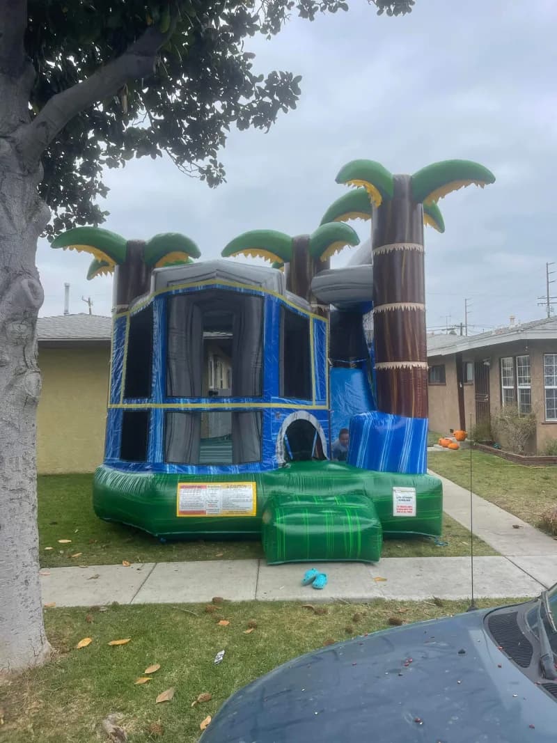 Blue Marble Palm Tree Backyard 17x17