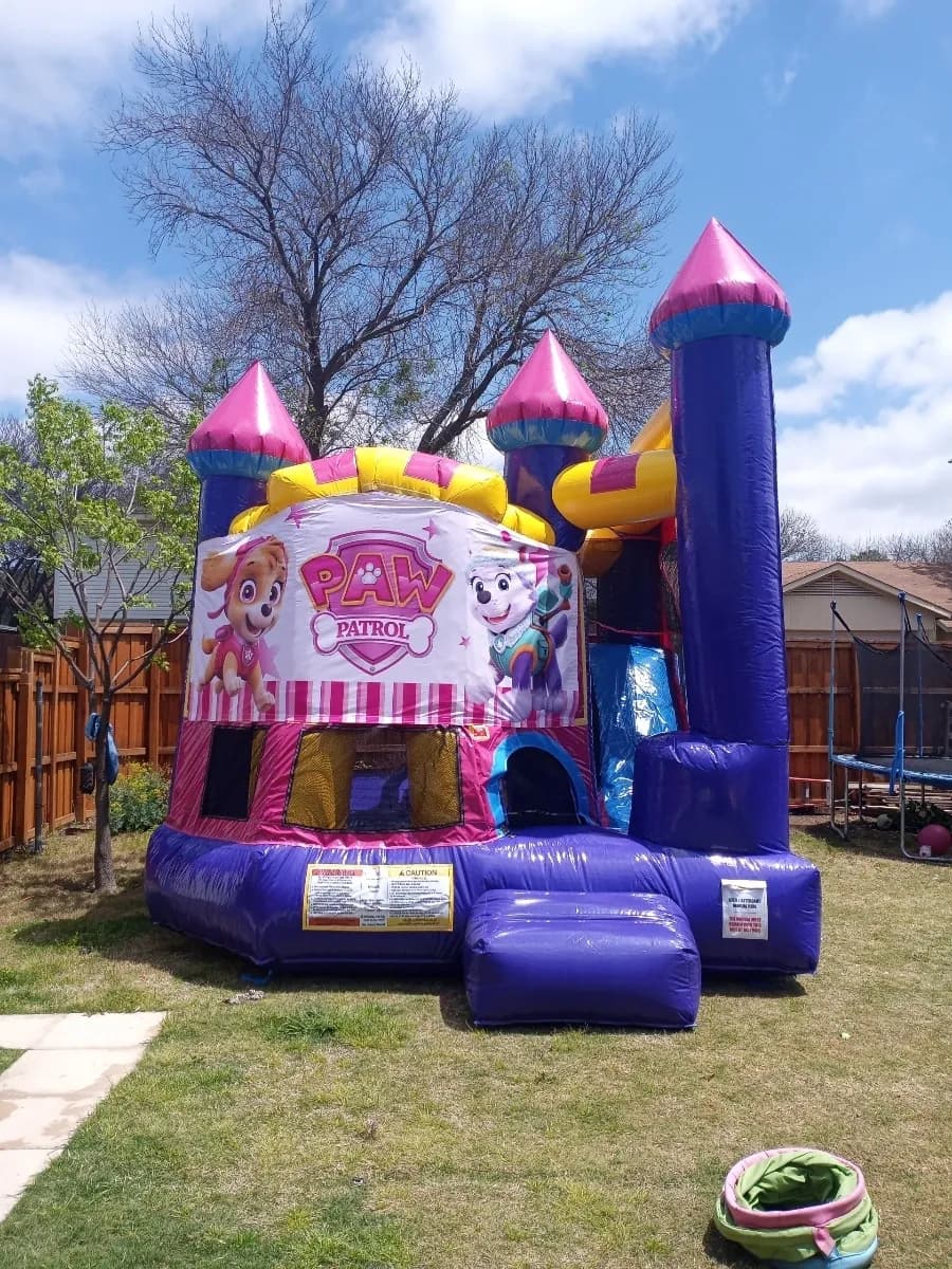 Purple Yellow Combo Bouncer - Custom Art Banner