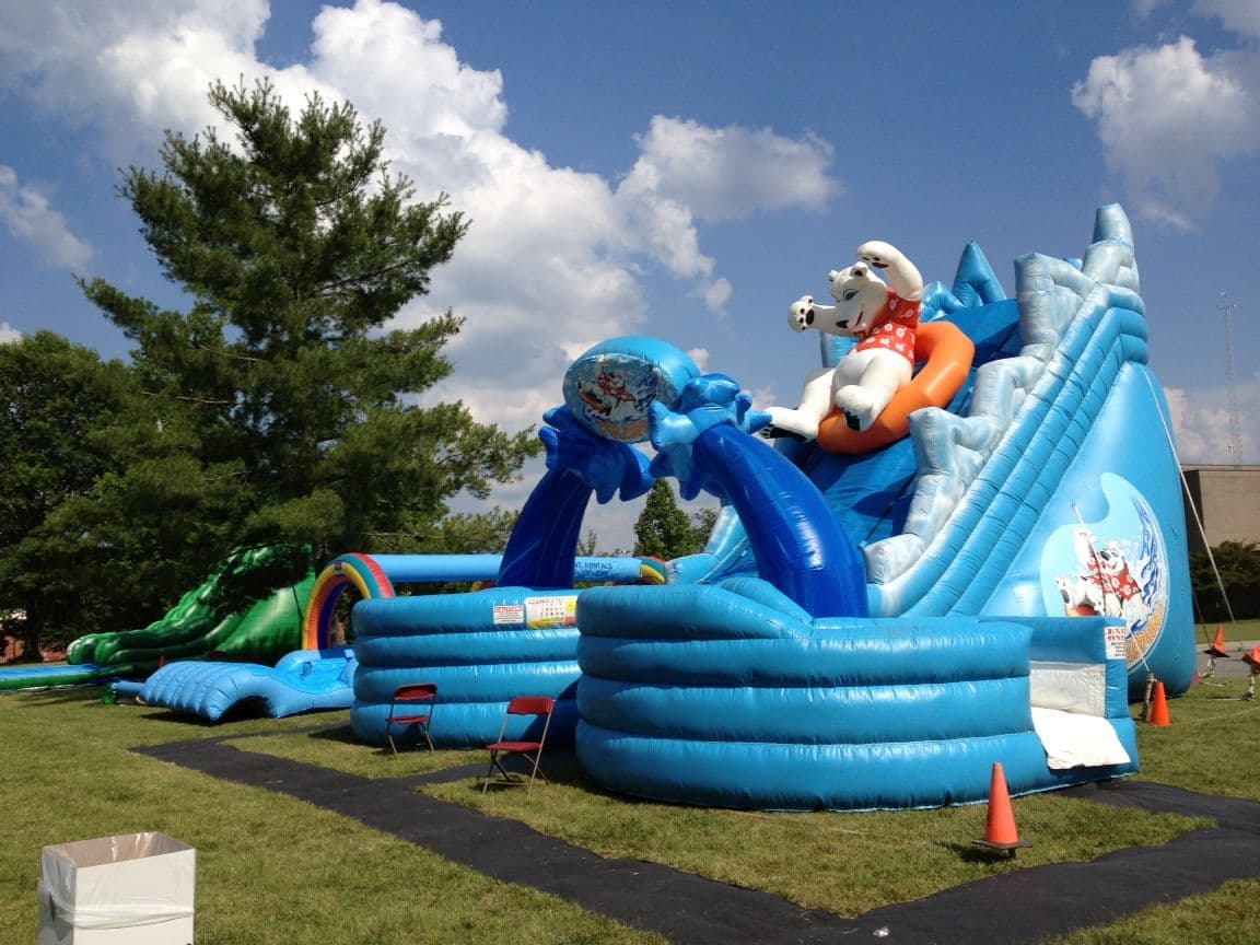Monster Polar Plunge Double Lane Water Slide