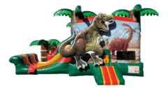 Dinosaur 3D 4in1 Dry Combo 13'x25' SC721