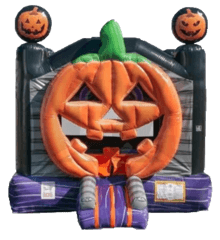 Pumpkin 3D Jumper 15'x17' J321