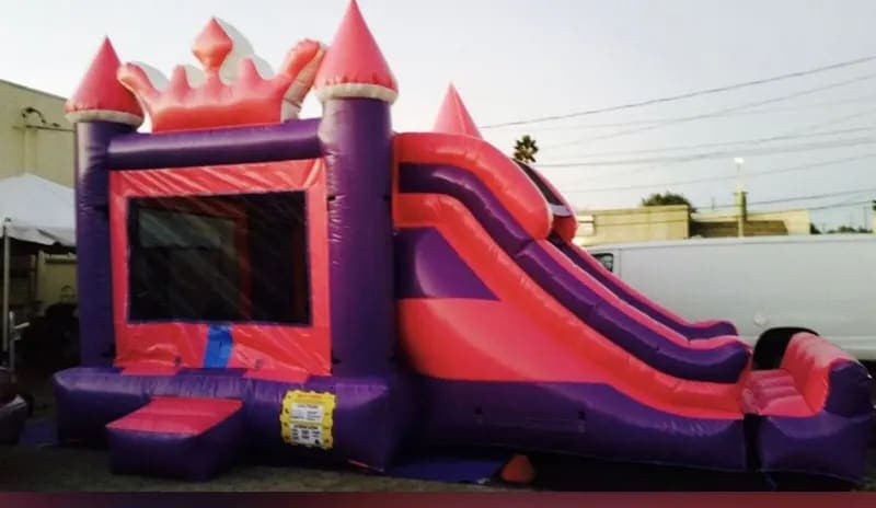 Pink and Purple Combo