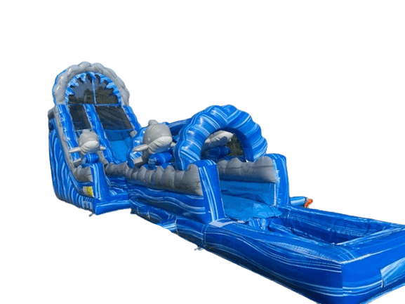 Blue Dolphin Slide w Pool