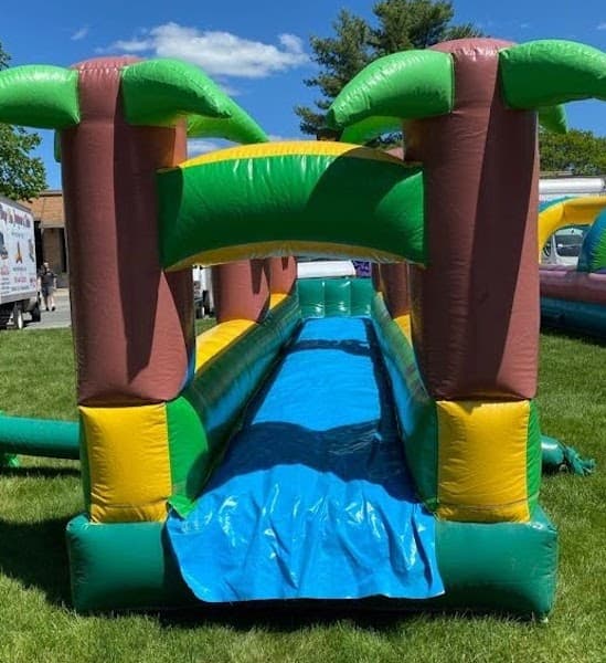 27' Tropical Palm Slip and Slide w/ pool