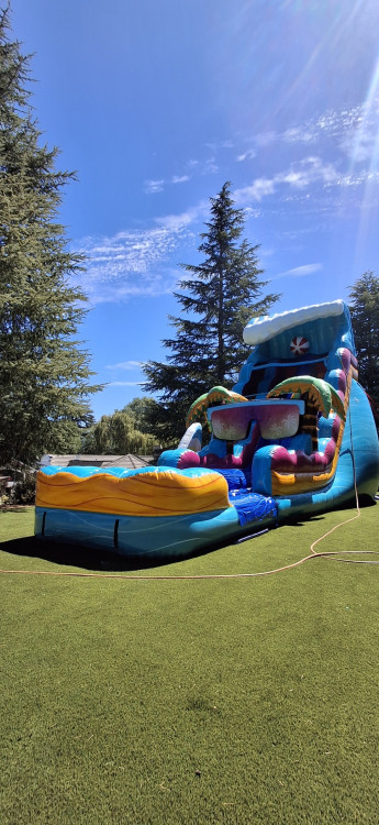 22FT Beach Life Water Slide