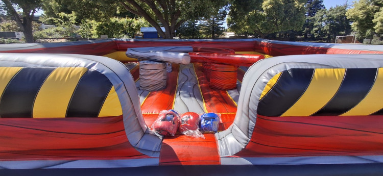 4-Player Gladiator Joust