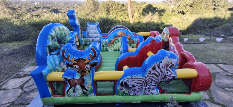 Animal Kingdom Toddler Unit