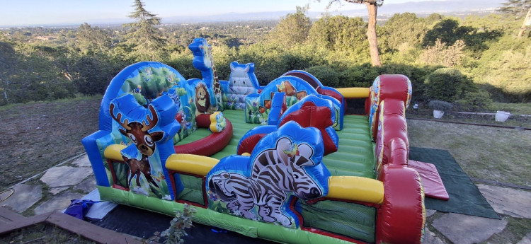 Animal Kingdom Toddler Unit