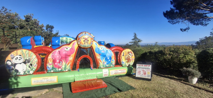 Animal Kingdom Toddler Unit
