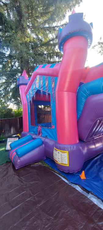 Purple Castle Combo (wet)